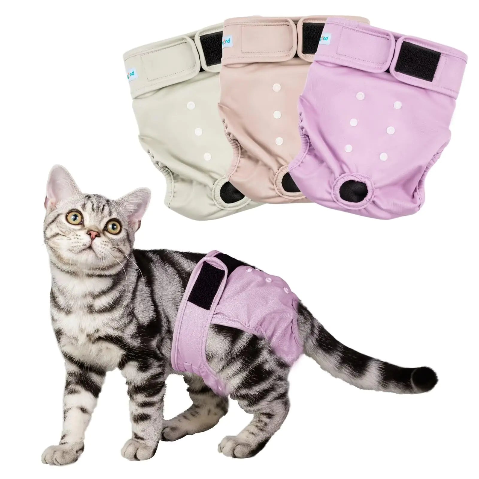 Paw Legend Reusable Female Cat Diapers - 3-Pack XS